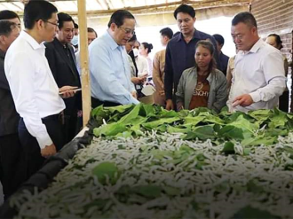 Lao government discuss ways to tackle economic